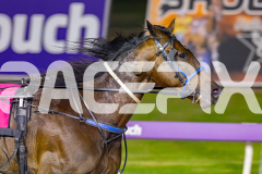 2026_PACEPIX_GP10042026_RACE3_RunkleCrunch_WIN_WEB-2