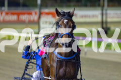 2026_PACEPIX_GP10042026_RACE3_RunkleCrunch_WIN_WEB-5