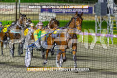 RACE 3 - Seaside Serenade
