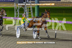 2026_PACEPIX_GP25082026_RACE3_SeasideSerenade_WIN_WEB-16