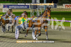 2026_PACEPIX_GP25082026_RACE3_SeasideSerenade_WIN_WEB-2