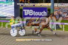 2026_PACEPIX_GP25082026_RACE3_SeasideSerenade_WIN_WEB-20