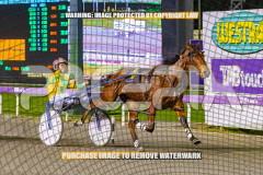2026_PACEPIX_GP25082026_RACE3_SeasideSerenade_WIN_WEB-23