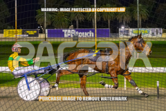 2026_PACEPIX_GP25082026_RACE3_SeasideSerenade_WIN_WEB-24