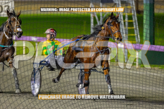 2026_PACEPIX_GP25082026_RACE3_SeasideSerenade_WIN_WEB-26