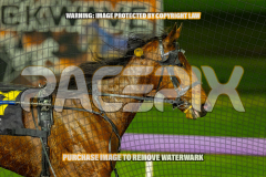 2026_PACEPIX_GP25082026_RACE3_SeasideSerenade_WIN_WEB-27