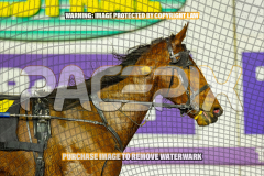 2026_PACEPIX_GP25082026_RACE3_SeasideSerenade_WIN_WEB-28