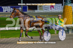 2026_PACEPIX_GP25082026_RACE3_SeasideSerenade_WIN_WEB-35