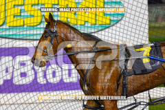 2026_PACEPIX_GP25082026_RACE3_SeasideSerenade_WIN_WEB-36