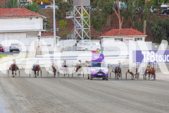 2026_PACEPIX_GP28022026_RACE3_SeasideSerenade_WIN_WEB-1