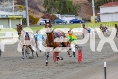 2026_PACEPIX_GP28022026_RACE3_SeasideSerenade_WIN_WEB-17