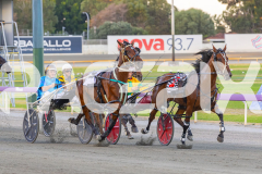 2026_PACEPIX_GP28022026_RACE3_SeasideSerenade_WIN_WEB-2