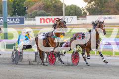 2026_PACEPIX_GP28022026_RACE3_SeasideSerenade_WIN_WEB-3