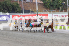 2026_PACEPIX_GP28022026_RACE3_SeasideSerenade_WIN_WEB-4