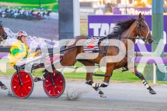 2026_PACEPIX_GP28022026_RACE3_SeasideSerenade_WIN_WEB-7