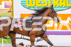 2026_PACEPIX_GP28022026_RACE3_SeasideSerenade_WIN_WEB-8