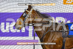 2026_Pacepix_GP14082026_Race3_SebastianJames_WIN_WEB-18
