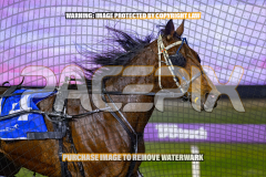2026_Pacepix_GP14082026_Race3_SebastianJames_WIN_WEB-4