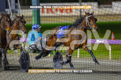 2026_Pacepix_GP14082026_Race3_SebastianJames_WIN_WEB-7