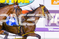 2025_PACEPIX_GP31122025_RACE3_SohoMoonraker_WIN_WEB-10
