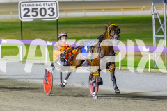 2025_PACEPIX_GP31122025_RACE3_SohoMoonraker_WIN_WEB-13