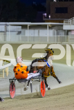 2025_PACEPIX_GP31122025_RACE3_SohoMoonraker_WIN_WEB-19
