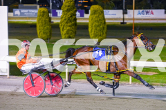 2025_PACEPIX_GP31122025_RACE3_SohoMoonraker_WIN_WEB-22