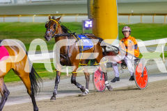 2025_PACEPIX_GP31122025_RACE3_SohoMoonraker_WIN_WEB-24