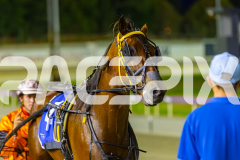 2025_PACEPIX_GP31122025_RACE3_SohoMoonraker_WIN_WEB-28