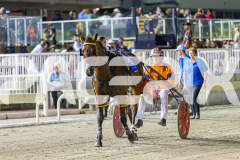 2025_PACEPIX_GP31122025_RACE3_SohoMoonraker_WIN_WEB-29