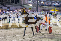 2025_PACEPIX_GP31122025_RACE3_SohoMoonraker_WIN_WEB-31