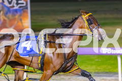 2025_PACEPIX_GP31122025_RACE3_SohoMoonraker_WIN_WEB-5