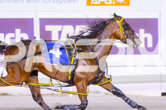 2025_PACEPIX_GP31122025_RACE3_SohoMoonraker_WIN_WEB-6