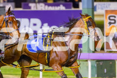 2025_PACEPIX_GP31122025_RACE3_SohoMoonraker_WIN_WEB-9