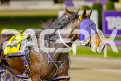 2025_PACEPIX_GP16052025_Race3_SoundWave_WIN_WEB-10