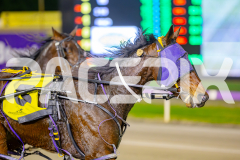 2025_PACEPIX_GP16052025_Race3_SoundWave_WIN_WEB-11