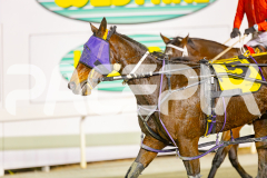 2025_PACEPIX_GP16052025_Race3_SoundWave_WIN_WEB-13