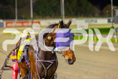 2025_PACEPIX_GP16052025_Race3_SoundWave_WIN_WEB-14