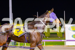 2025_PACEPIX_GP16052025_Race3_SoundWave_WIN_WEB-20