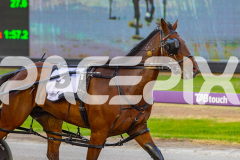 2025_PACEPIX_GP19122025_RACE3_Spyglass_WIN_WEB-11