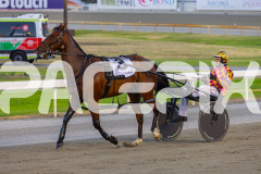2025_PACEPIX_GP19122025_RACE3_Spyglass_WIN_WEB-12