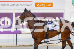2025_PACEPIX_GP19122025_RACE3_Spyglass_WIN_WEB-13