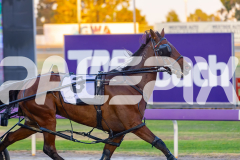 2025_PACEPIX_GP19122025_RACE3_Spyglass_WIN_WEB-3