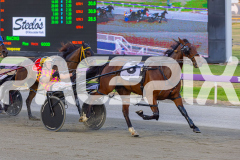 2025_PACEPIX_GP19122025_RACE3_Spyglass_WIN_WEB-7