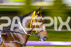 2026_PACEPIX_GP05062026_RACE3_SpyGlass_WIN_WEB-2