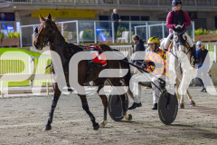 2026_PACEPIX_GP05062026_RACE3_SpyGlass_WIN_WEB-22