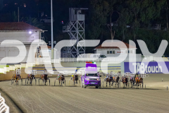 2026_PACEPIX_GP05062026_RACE3_SpyGlass_WIN_WEB-3