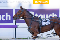 2025_PACEPIX_GP18112025_RACE3_StateMyCase_WIN_WEB-12