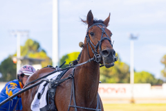 2025_PACEPIX_GP18112025_RACE3_StateMyCase_WIN_WEB-16
