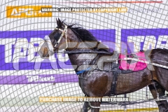 2026_PACEPIX_GP08092026_RACE3_SugaStreet_WIN_WEB-15